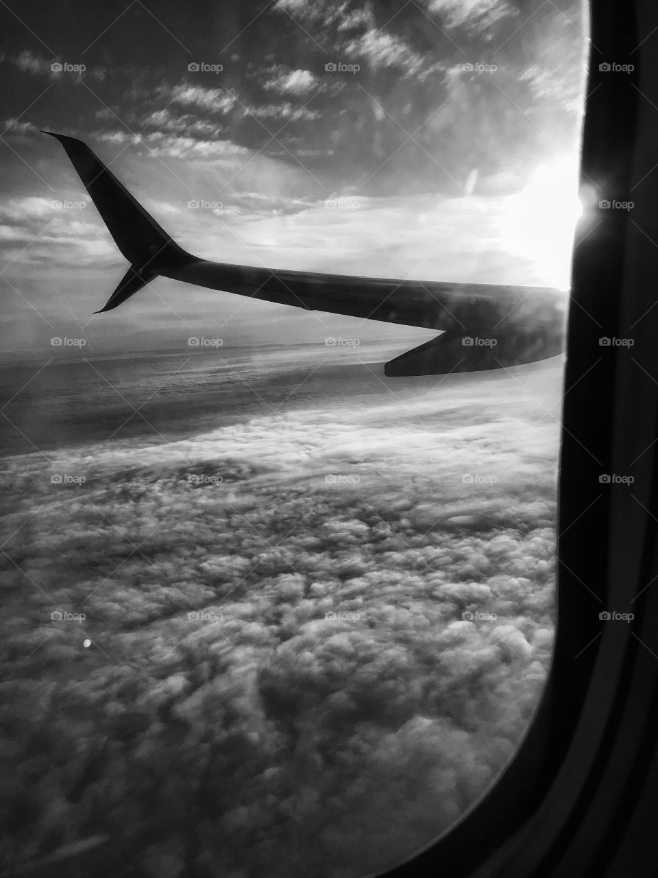 Color in a world where color isn’t always there. 