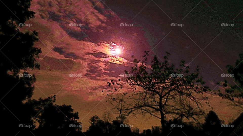 Moon behind Clouds silhouette of Tree