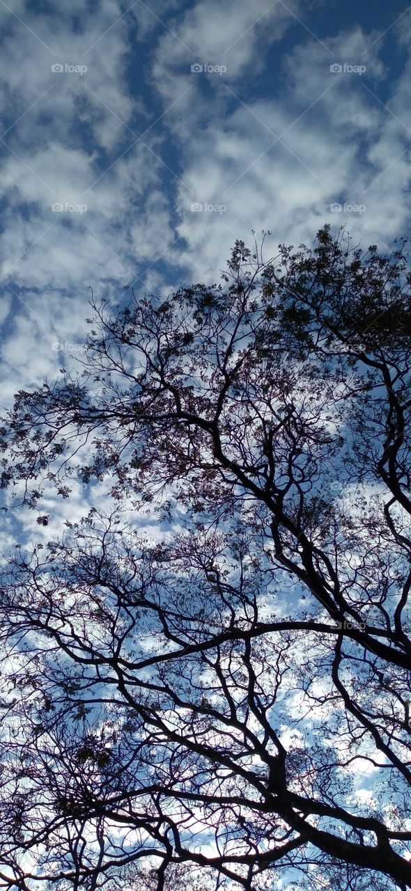 sunlight created beautiful masterpiece