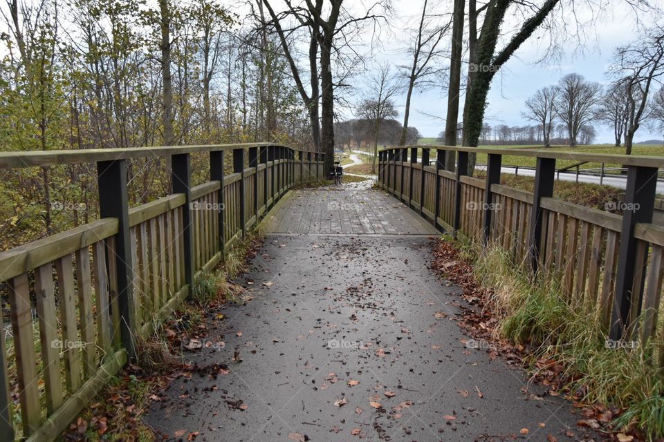 Wood, Tree, Guidance, No Person, Fence