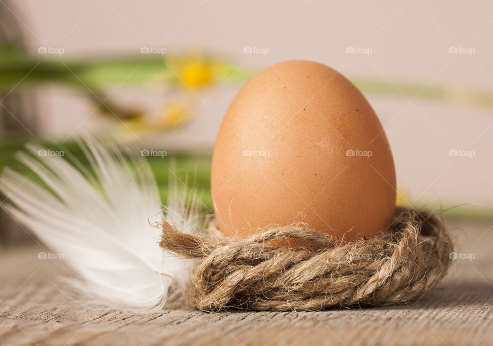 Easter egg on old wiosen background in a decorative nest with feather
