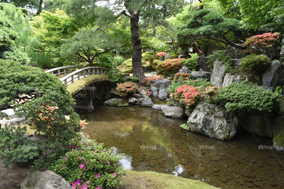 Garden at Kyoto Imperial Palace, Japan 
