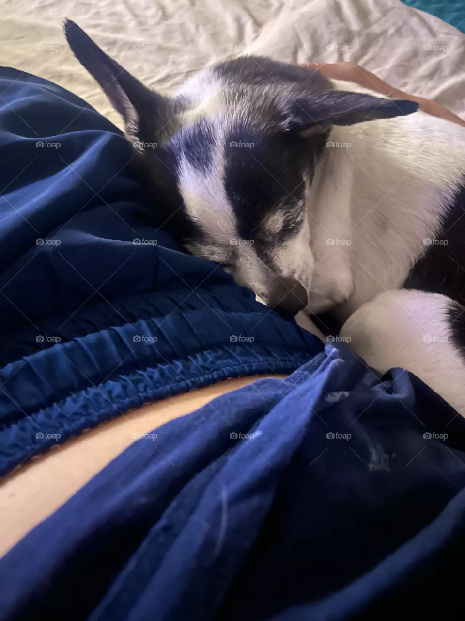 Nap time 