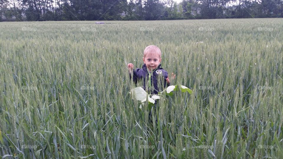 Cute boy standing in agriculture field