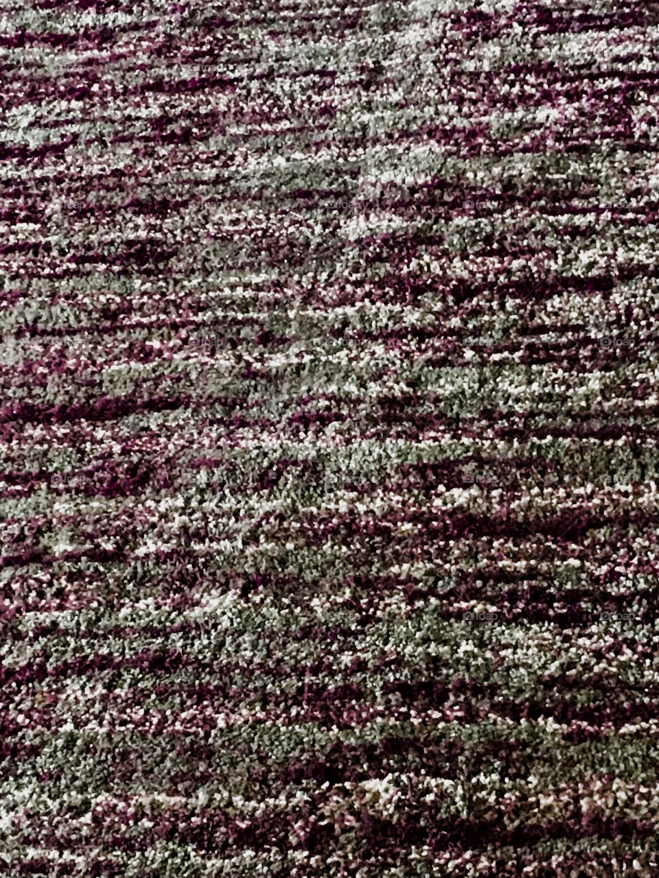 Carpet