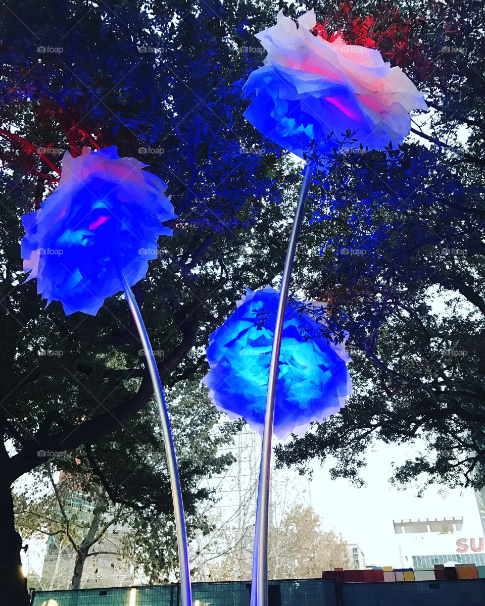 Glow in the dark paper flowers 