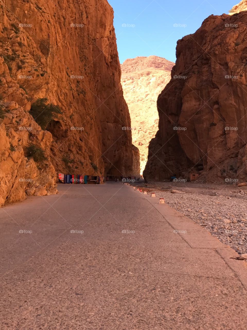 Road into the desert