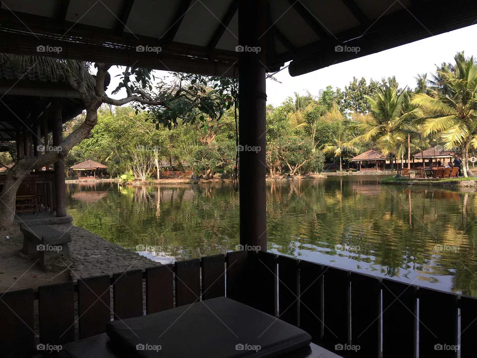 peace view