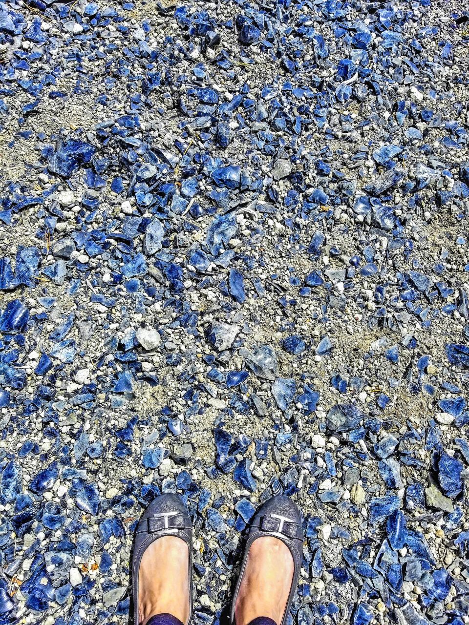 MAMMOTH LAKES|california