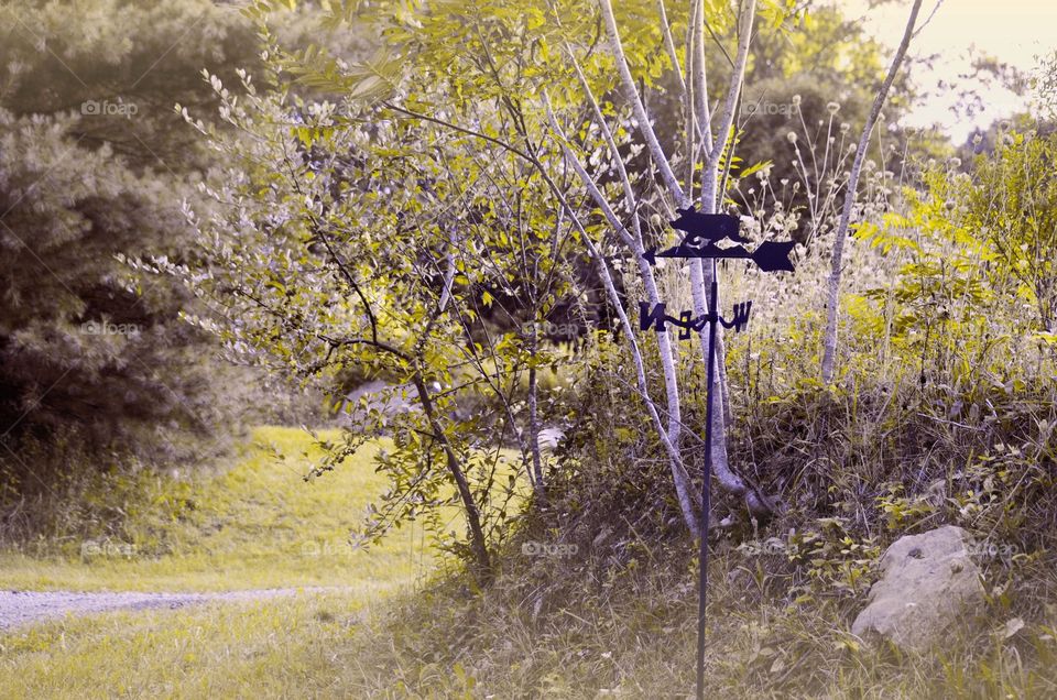 Take the Nostalgic Way Home (Series)