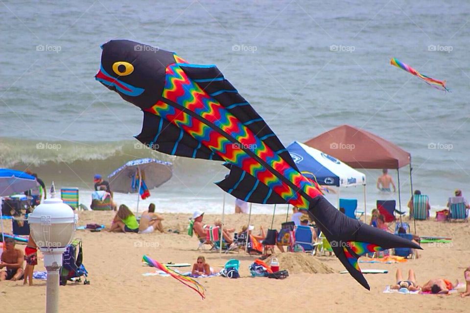 Rainbow Fish Kite