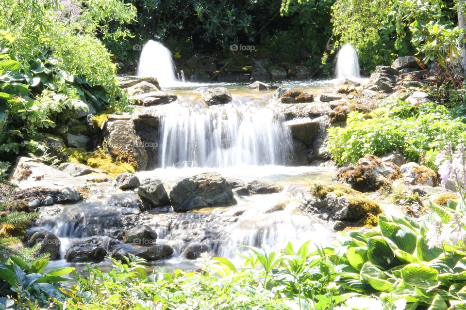 Garden waterfall 