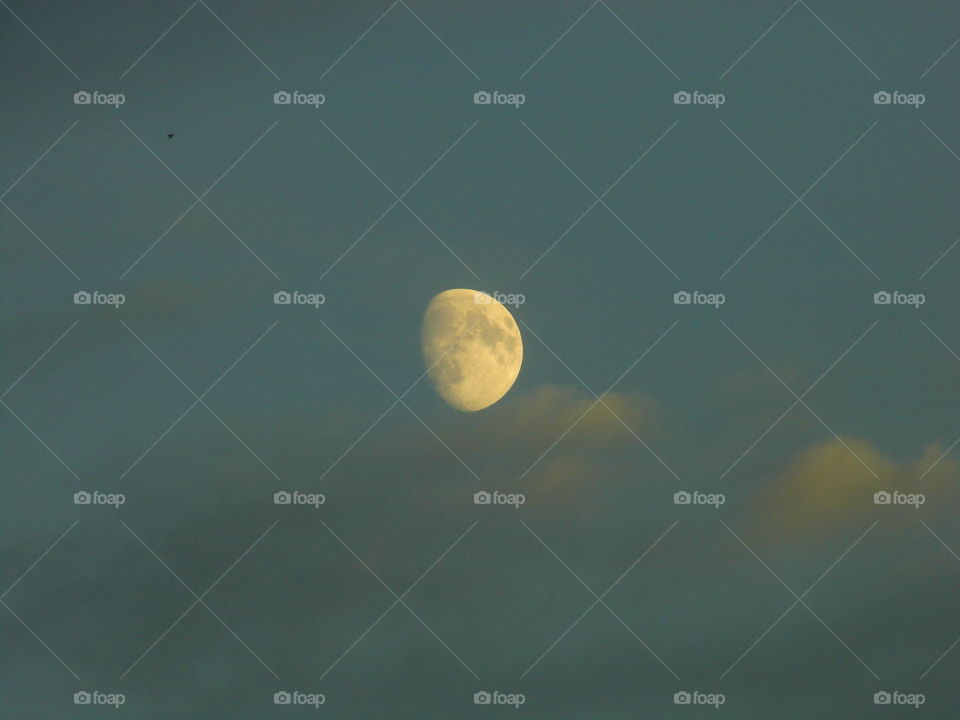 nine moon in the evening