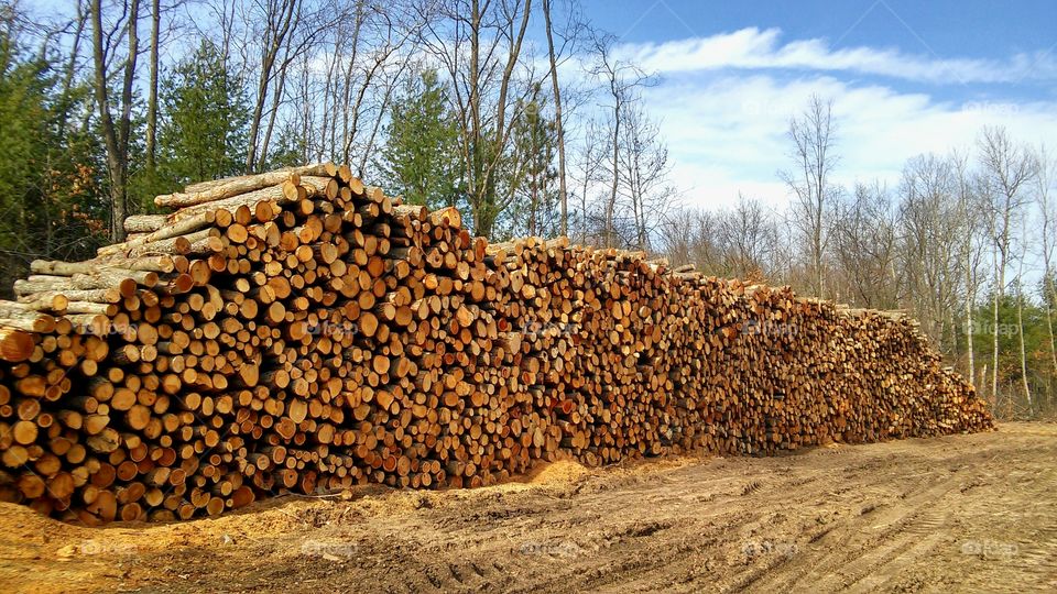 Logging trade