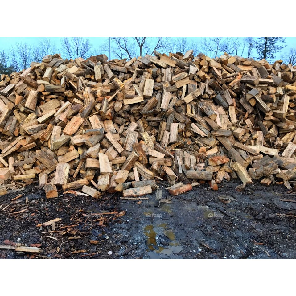  Wood pile 