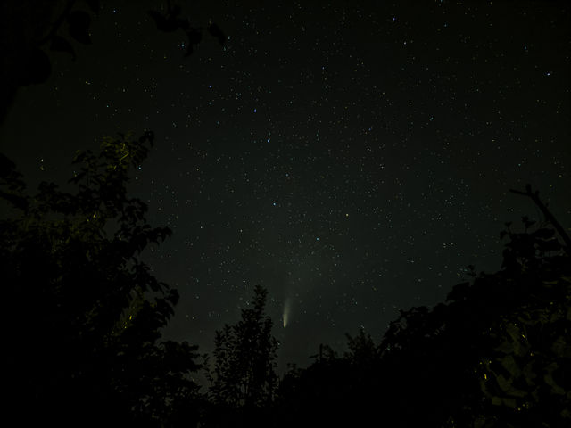 Comet and the constellation URSA Major in the night sky.