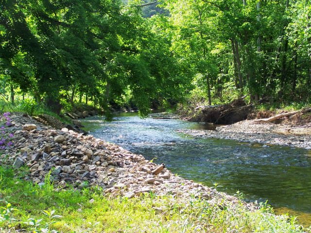 Cedar Creek