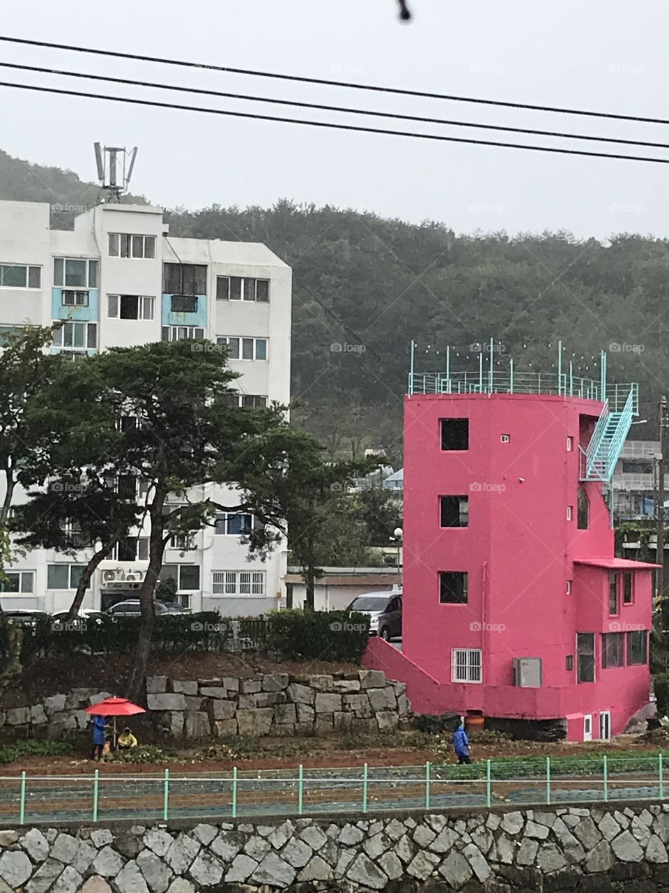 Farming under the rain