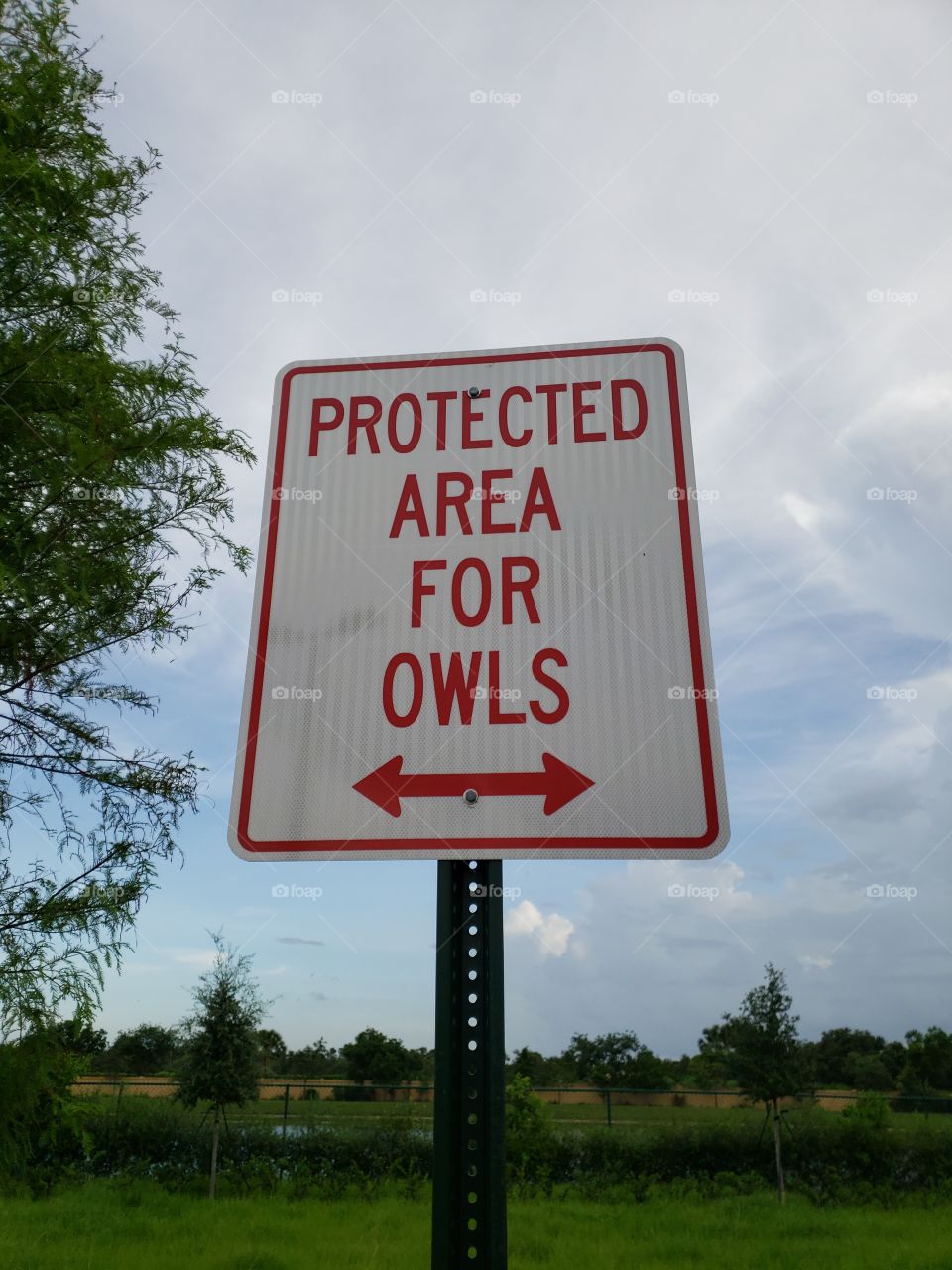 Protected Area for Owls Sign
