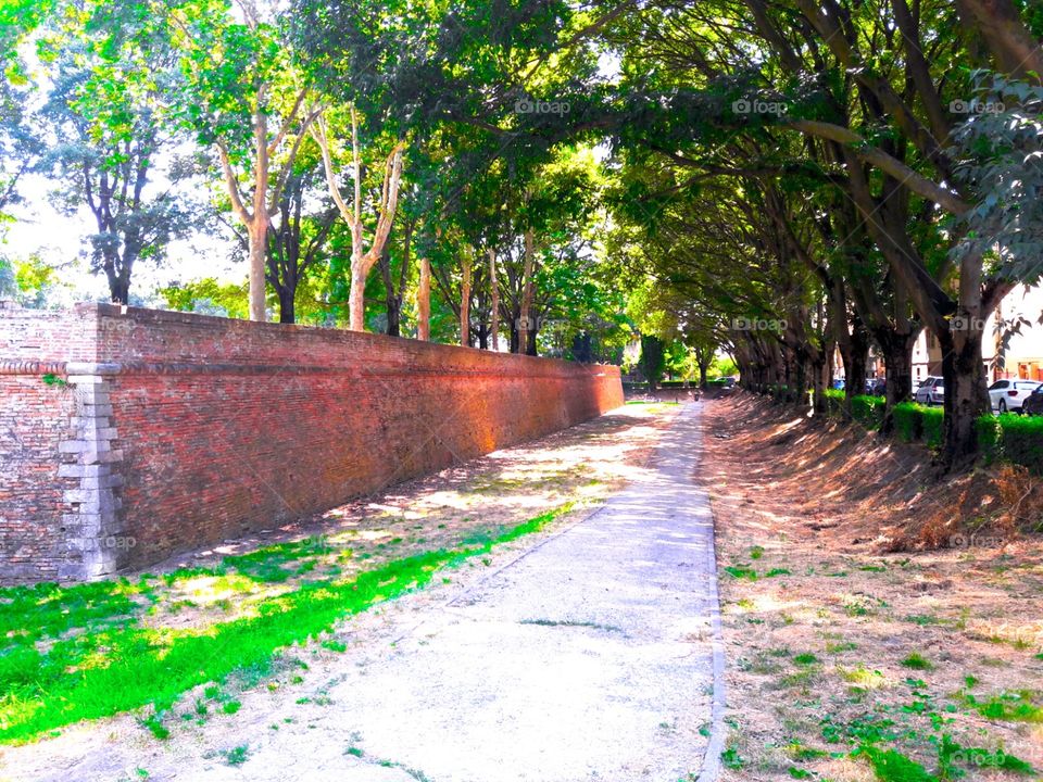 way in Ferrara's park