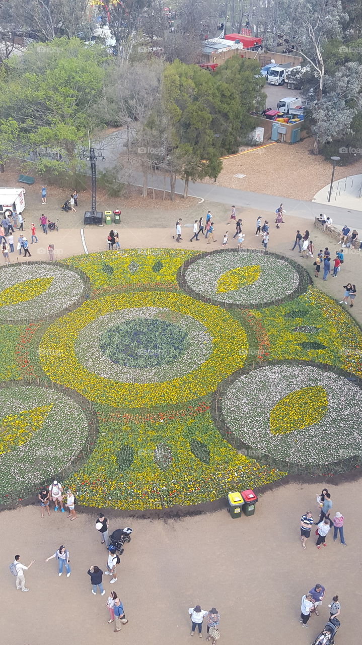 top view from giant ferris wheel. this is taken at floriade  which is called flower festival during spring season.
