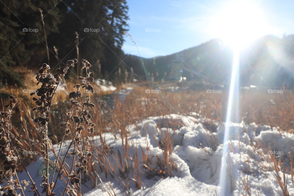 Crisp Winter Morning