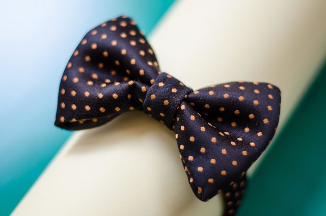 Polka Dot Bow Tie
