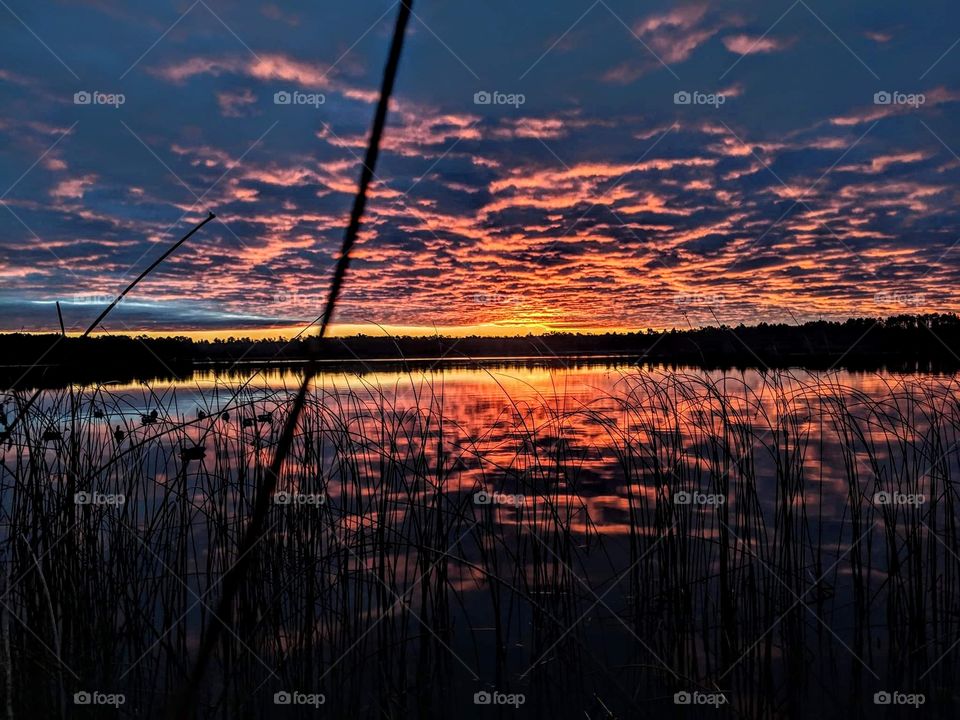 beautiful vibrant sunset in the marsh