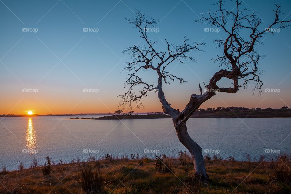 Sunset at the Reservoir Lake Alqueva Portugal 