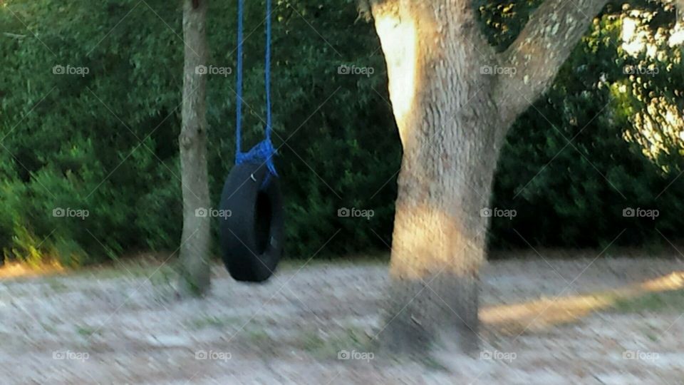 backyard fun. tire swing