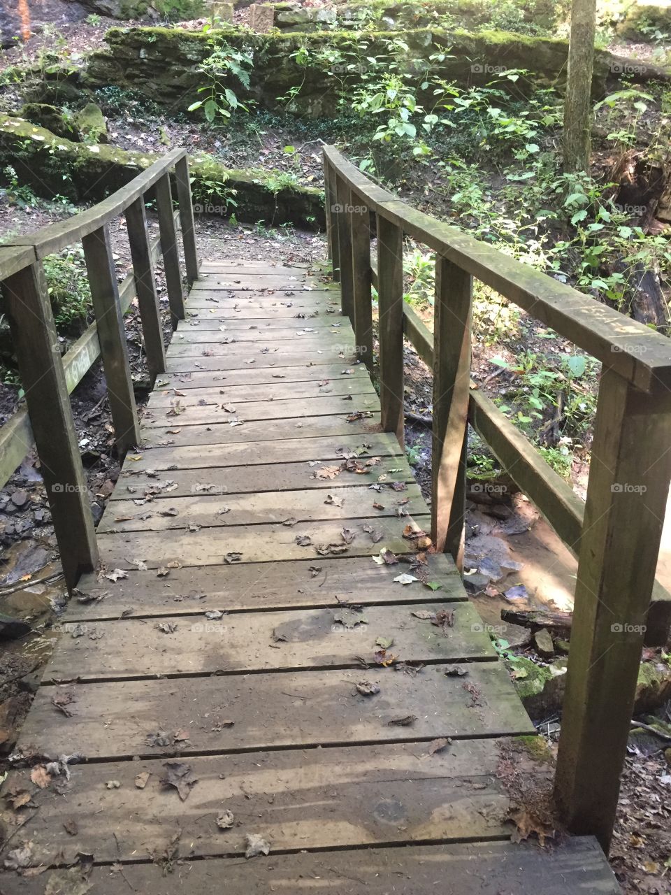 Wooden bridge 