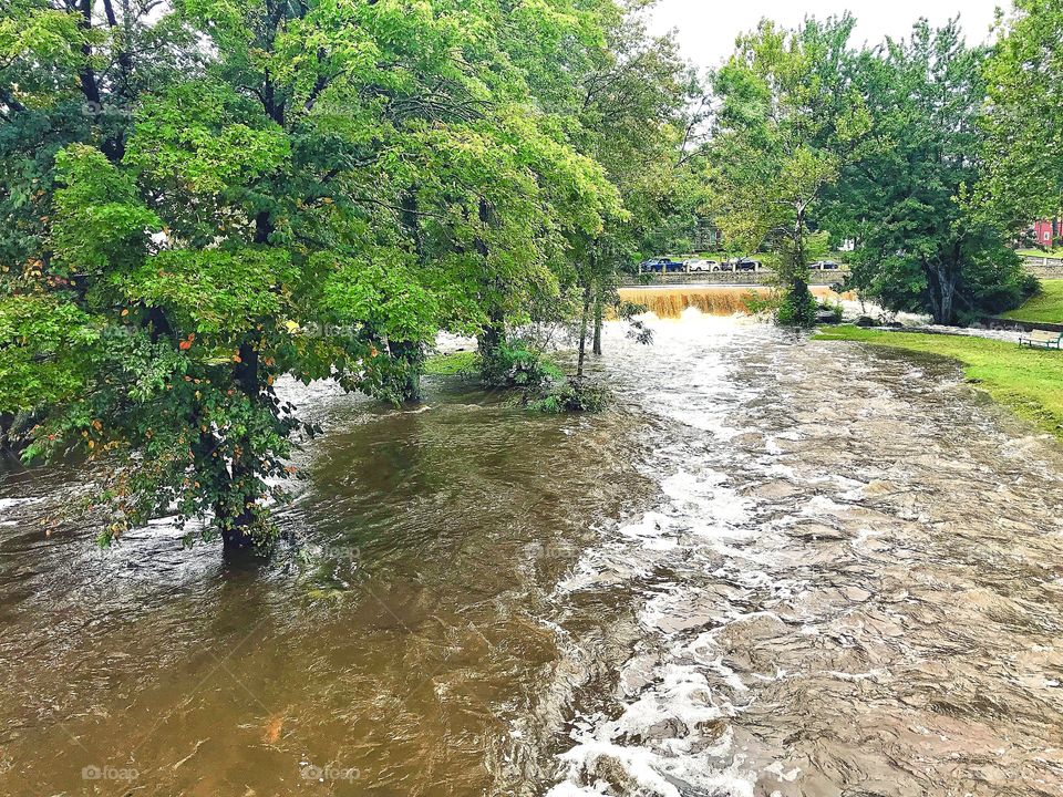 River rising after some crazy rain.. there was an island there before the rain