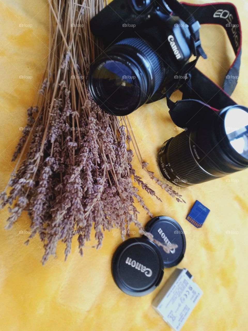 Camera in photography is a device for recording an image of an object on a light-sensitive surface, it is essentially a light-tight box with an aperture to admit light focused onto a sensitized film or plate