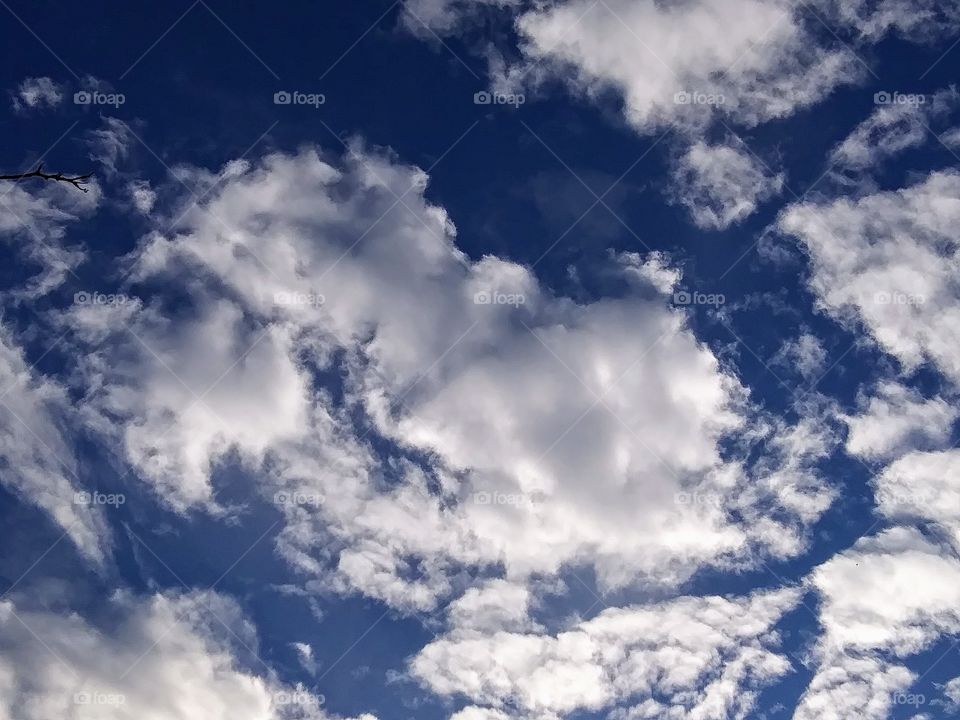 afternoon light on clouds