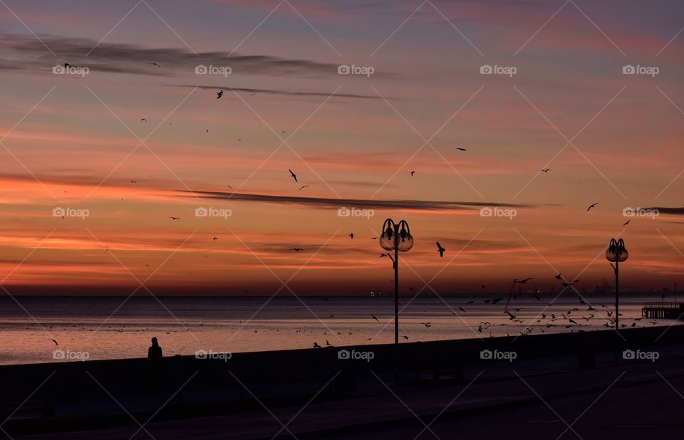 Sunset, Beach, Dawn, Water, Sea