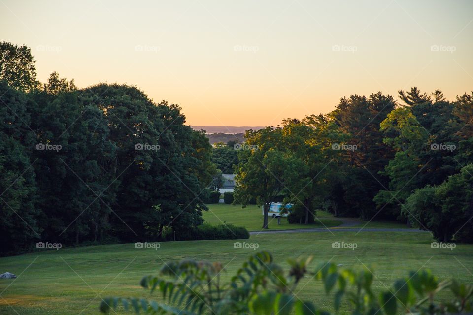 Sunset over estate in the summer, trees and greenery, lawn
