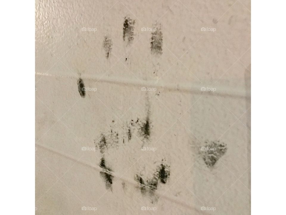 Handprint 