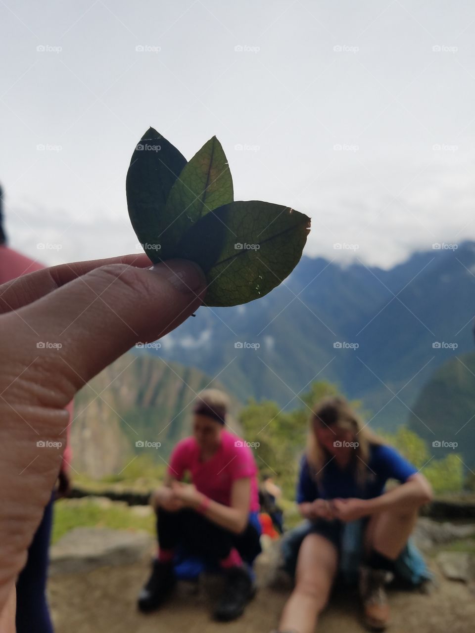 Inca trail, cocoa leaf ceremony