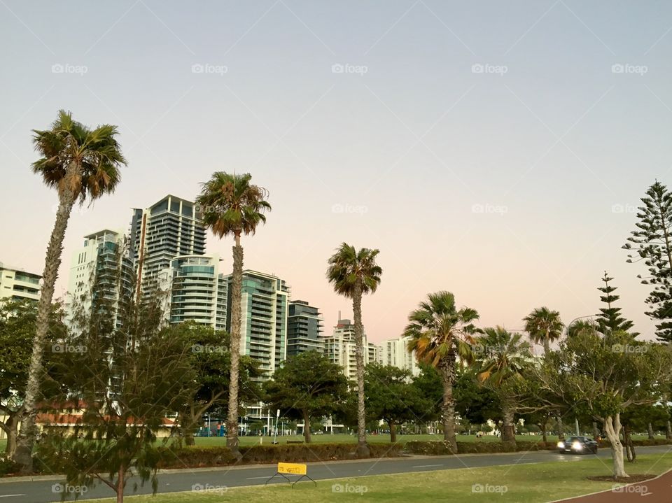 A park called Langley Park in the city centre of Perth. There are accommodations and apartments near the area.( taken from near the Swan River.)