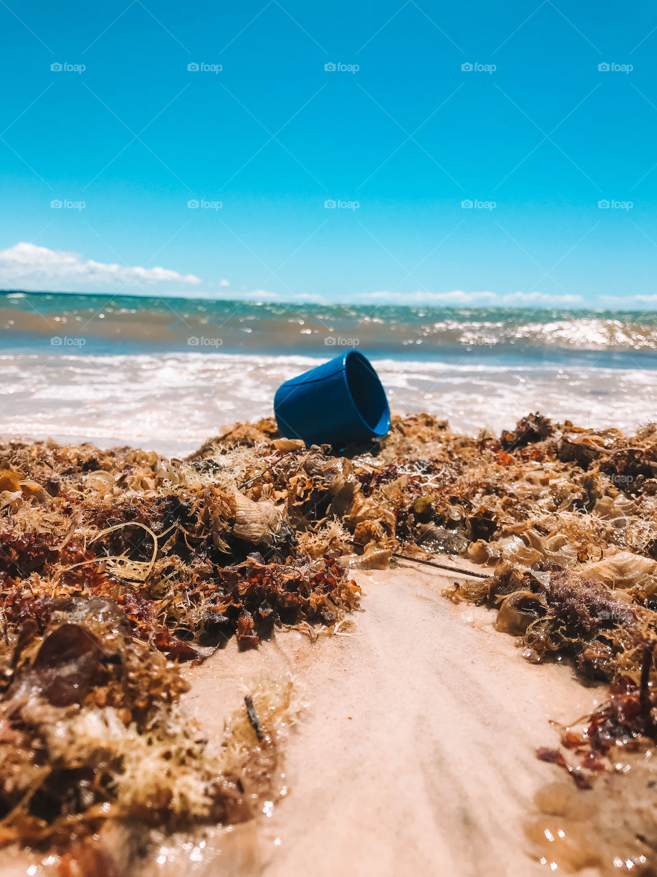 Don't mess with the beaches or any other place, nature thanks you! Não jogue lixo na praia ou em qualquer outro lugar, a natureza agrade!