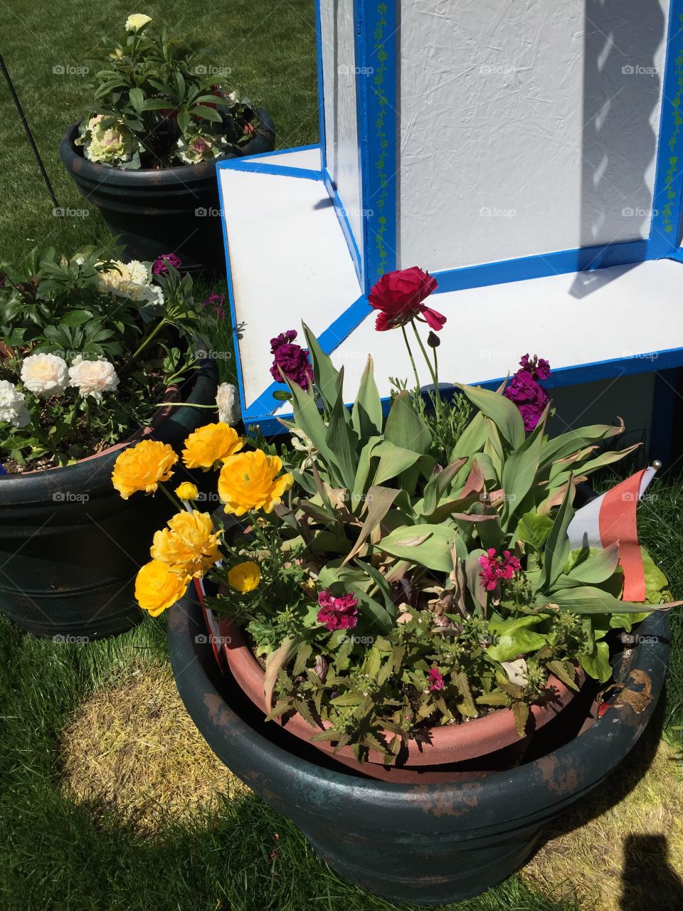 The Tulip Festival, Rose Garden at Thanksgiving Point. Lehi, Utah. Copyright © CM Photography 2019.