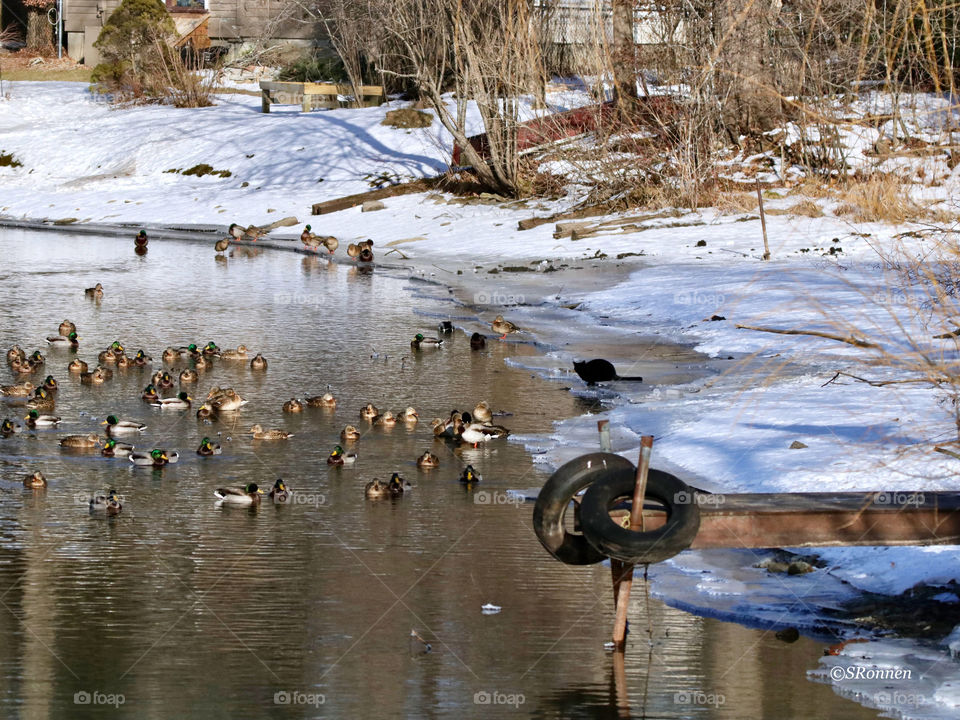 One of these is not like the other