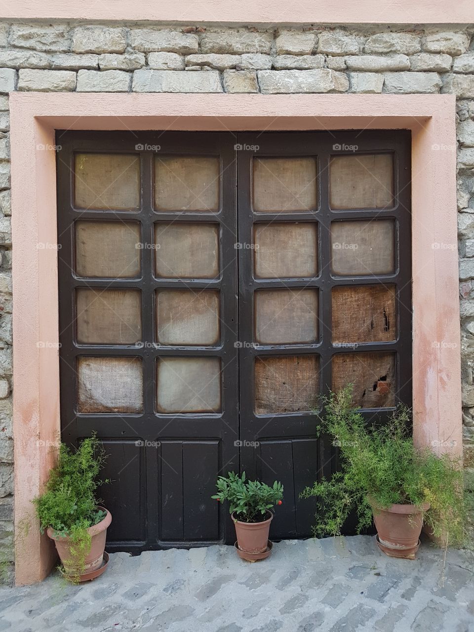 Potted plants in front of an old wood door