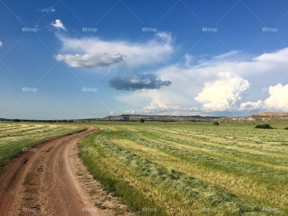 The sky and the fields were in competition for catching the eye of bliss - Gillette, WY