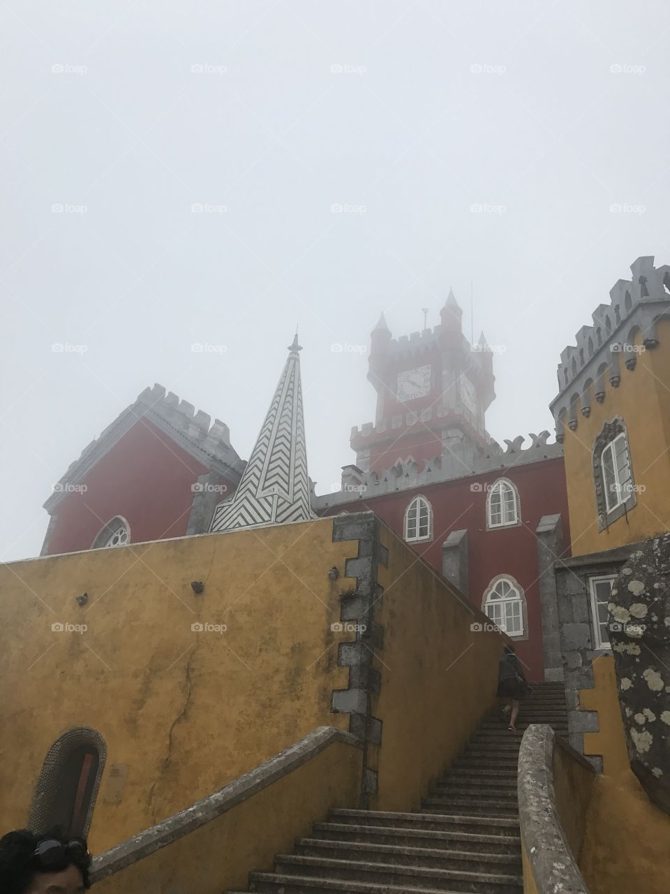 Fog and castle