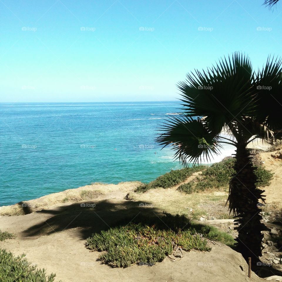 La jolla. La Jolla California 