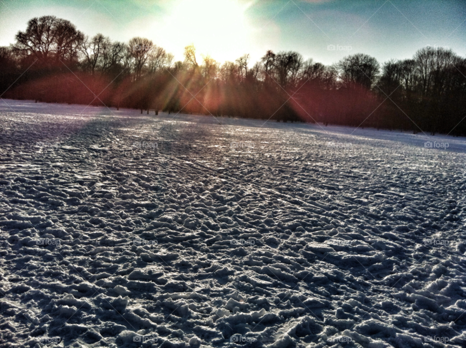 snow winter tree park by Nikita80