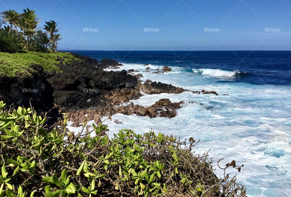 Seascape on the Big Island