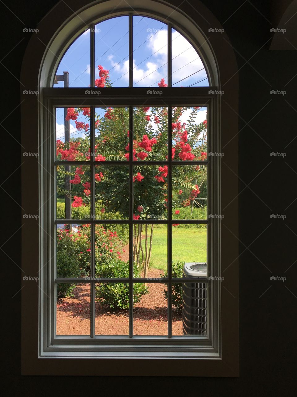 Window view of beautiful trees and flowers. 