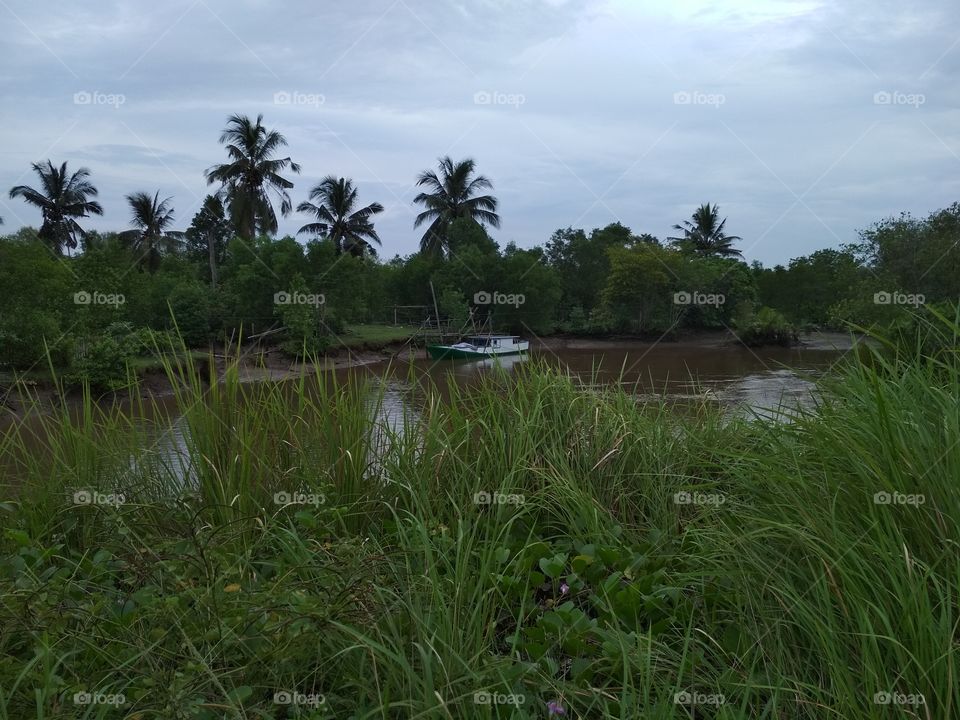 Fishing boats are in the river near the shore